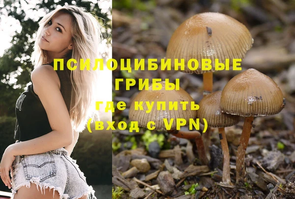 кристаллы Гусь-Хрустальный