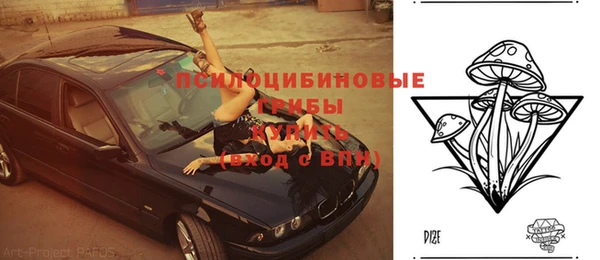 соль ск Гусев