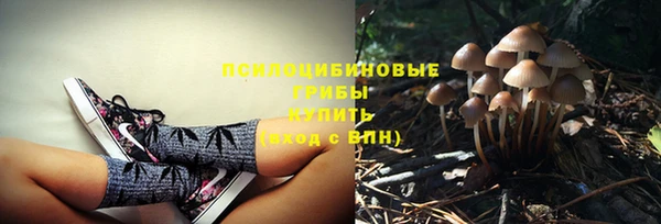 марки lsd Гусиноозёрск