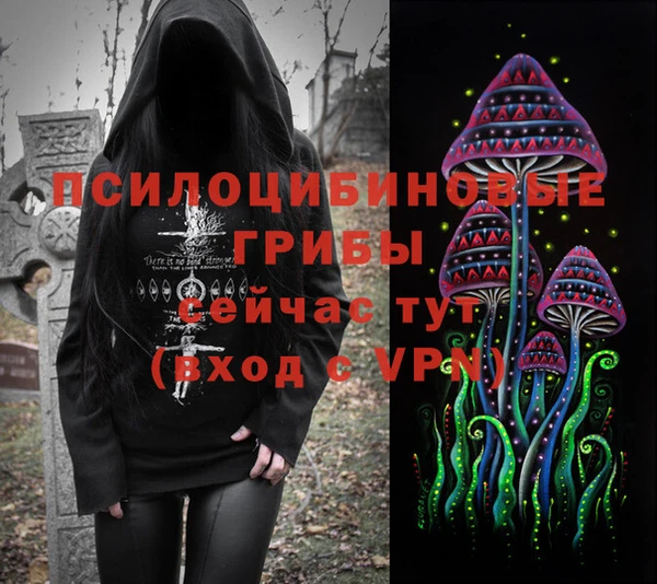 соль ск Гусев