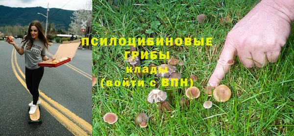 кристаллы Гусь-Хрустальный