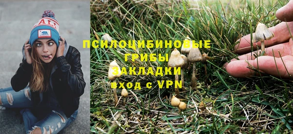 кристаллы Гусь-Хрустальный