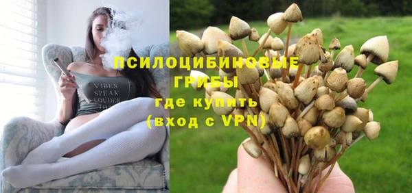 марки lsd Гусиноозёрск