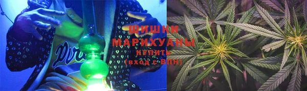 соль ск Гусев