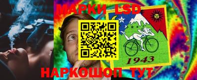 сатива Бузулук