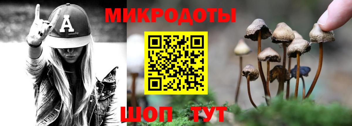 Галлюциногенные грибы Елизово