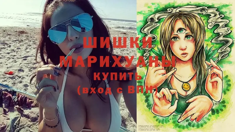 где можно купить   Елизово  Бошки Шишки сатива 